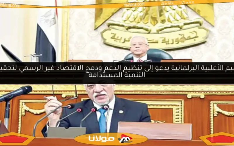 زعيم الأغلبية البرلمانية يدعو إلى تنظيم الدعم ودمج الاقتصاد غير الرسمي لتحقيق التنمية المستدامة