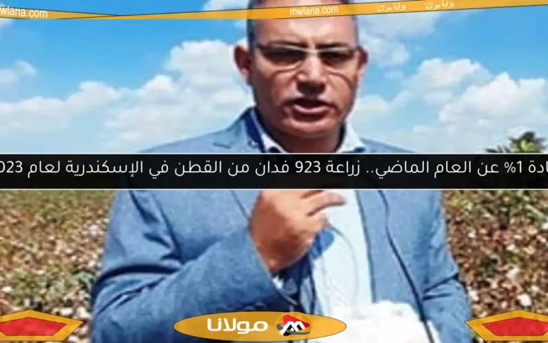زيادة 1% عن العام الماضي.. زراعة 923 فدان من القطن في الإسكندرية لعام 2023