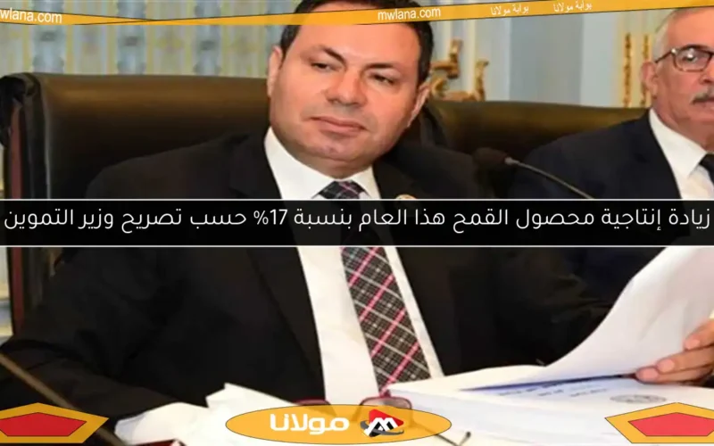 زيادة إنتاجية محصول القمح هذا العام بنسبة 17% حسب تصريح وزير التموين
