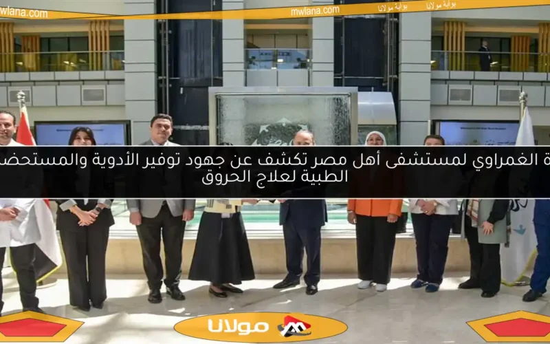 زيارة الغمراوي لمستشفى أهل مصر تكشف عن جهود توفير الأدوية والمستحضرات الطبية لعلاج الحروق
