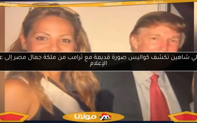 سالي شاهين تكشف كواليس صورة قديمة مع ترامب من ملكة جمال مصر إلى عالم الإعلام