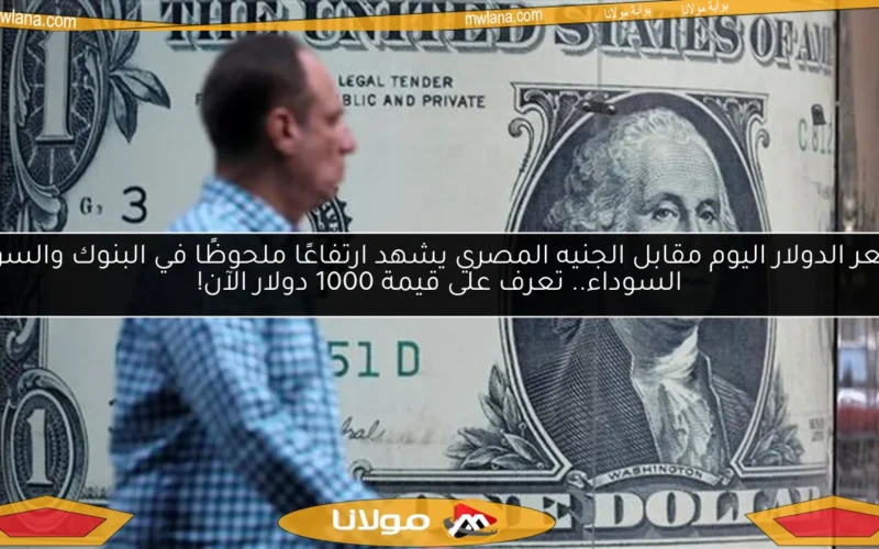 سعر الدولار اليوم مقابل الجنيه المصري يشهد ارتفاعًا ملحوظًا في البنوك والسوق السوداء.. تعرف على قيمة 1000 دولار الآن!