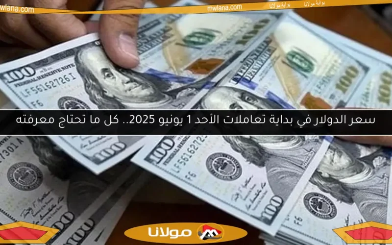 سعر الدولار في بداية تعاملات الأحد 1 يونيو 2025.. كل ما تحتاج معرفته