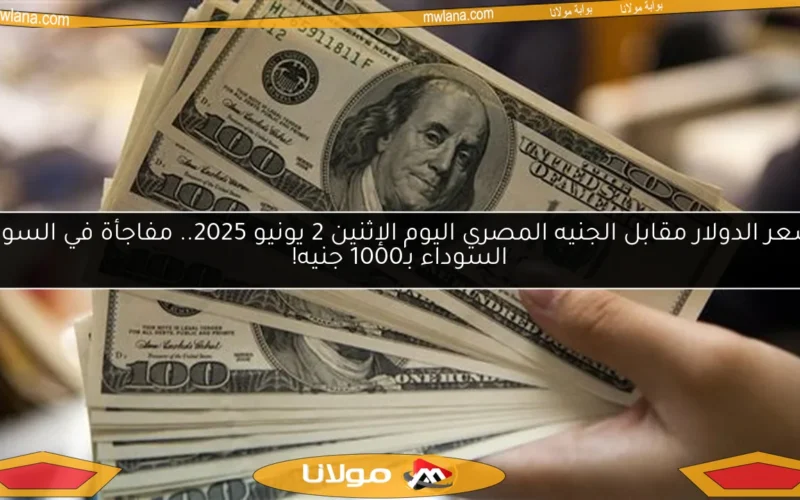 سعر الدولار مقابل الجنيه المصري اليوم الإثنين 2 يونيو 2025.. مفاجأة في السوق السوداء بـ1000 جنيه!