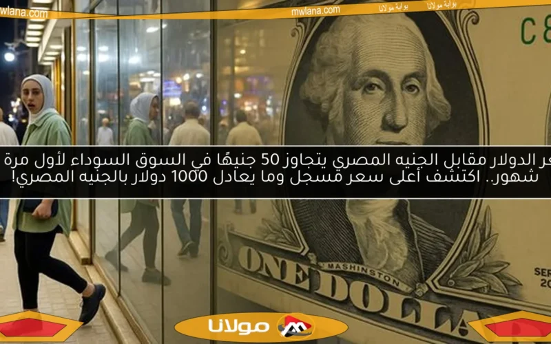 سعر الدولار مقابل الجنيه المصري يتجاوز 50 جنيهًا في السوق السوداء لأول مرة منذ شهور.. اكتشف أعلى سعر مسجل وما يعادل 1000 دولار بالجنيه المصري!