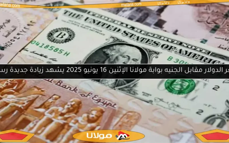 سعر الدولار مقابل الجنيه بوابة مولانا الإثنين 16 يونيو 2025 يشهد زيادة جديدة رسميًا