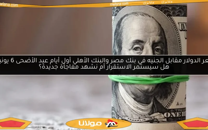 سعر الدولار مقابل الجنيه في بنك مصر والبنك الأهلي أول أيام عيد الأضحى 6 يونيو.. هل سيستمر الاستقرار أم نشهد مفاجأة جديدة؟