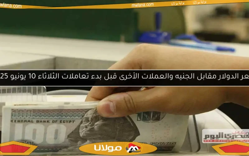 سعر الدولار مقابل الجنيه والعملات الأخرى قبل بدء تعاملات الثلاثاء 10 يونيو 2025