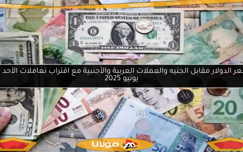 سعر الدولار مقابل الجنيه والعملات العربية والأجنبية مع اقتراب تعاملات الأحد 15 يونيو 2025
