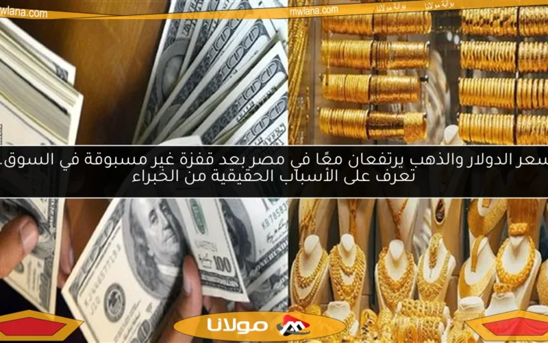 سعر الدولار والذهب يرتفعان معًا في مصر بعد قفزة غير مسبوقة في السوق.. تعرف على الأسباب الحقيقية من الخبراء