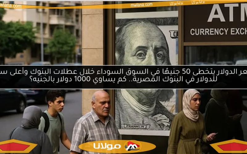 سعر الدولار يتخطى 50 جنيهًا في السوق السوداء خلال عطلات البنوك وأعلى سعر للدولار في البنوك المصرية.. كم يساوي 1000 دولار بالجنيه؟