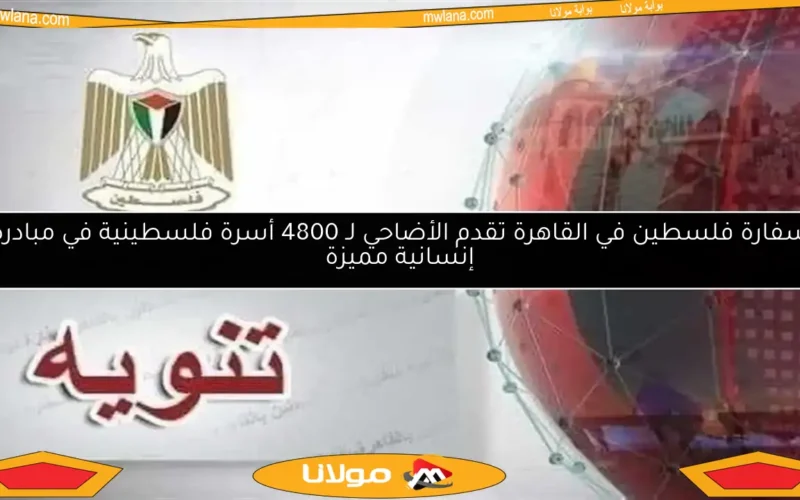 سفارة فلسطين في القاهرة تقدم الأضاحي لـ 4800 أسرة فلسطينية في مبادرة إنسانية مميزة