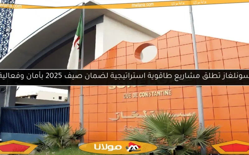 سونلغاز تطلق مشاريع طاقوية استراتيجية لضمان صيف 2025 بأمان وفعالية