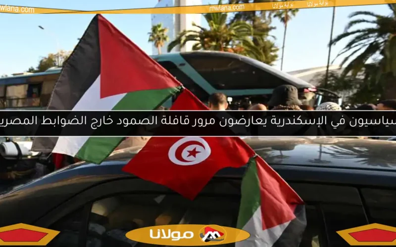 «سياسيون في الإسكندرية يعارضون مرور قافلة الصمود خارج الضوابط المصرية»