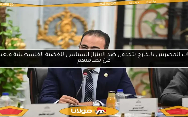 شباب المصريين بالخارج يتحدون ضد الابتزاز السياسي للقضية الفلسطينية ويعبرون عن تضامنهم