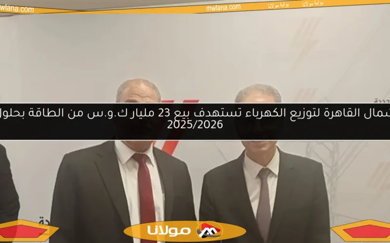 شمال القاهرة لتوزيع الكهرباء تستهدف بيع 23 مليار ك.و.س من الطاقة بحلول 2025/2026