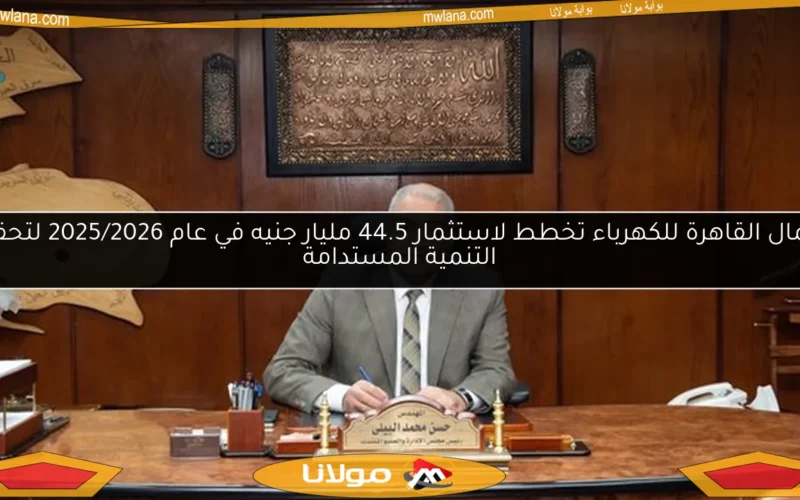شمال القاهرة للكهرباء تخطط لاستثمار 44.5 مليار جنيه في عام 2025/2026 لتحقيق التنمية المستدامة