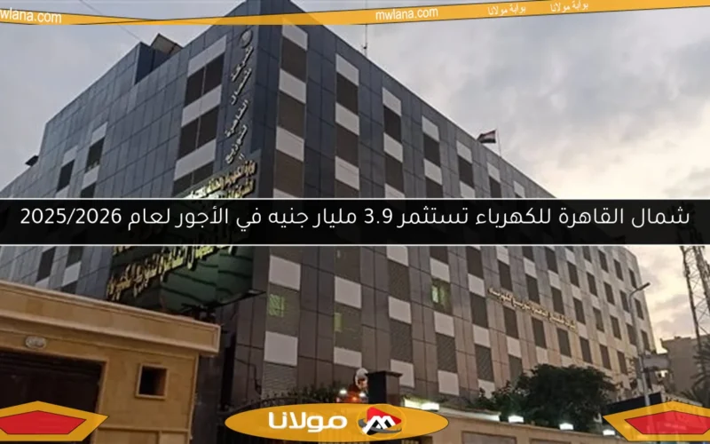 شمال القاهرة للكهرباء تستثمر 3.9 مليار جنيه في الأجور لعام 2025/2026