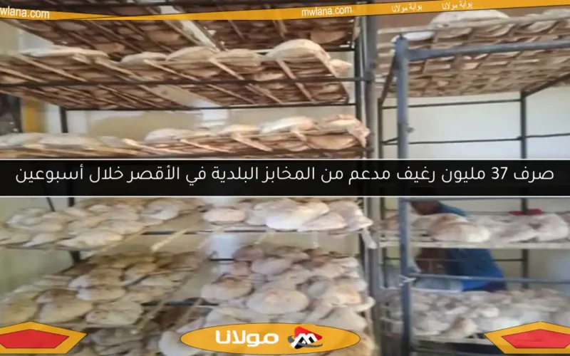 صرف 37 مليون رغيف مدعم من المخابز البلدية في الأقصر خلال أسبوعين