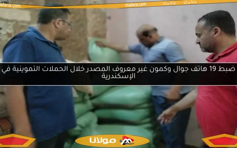 ضبط 19 هاتف جوال وكمون غير معروف المصدر خلال الحملات التموينية في الإسكندرية