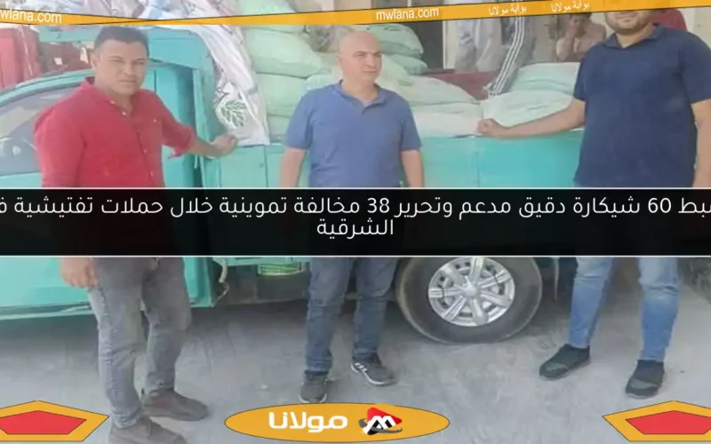 ضبط 60 شيكارة دقيق مدعم وتحرير 38 مخالفة تموينية خلال حملات تفتيشية في الشرقية