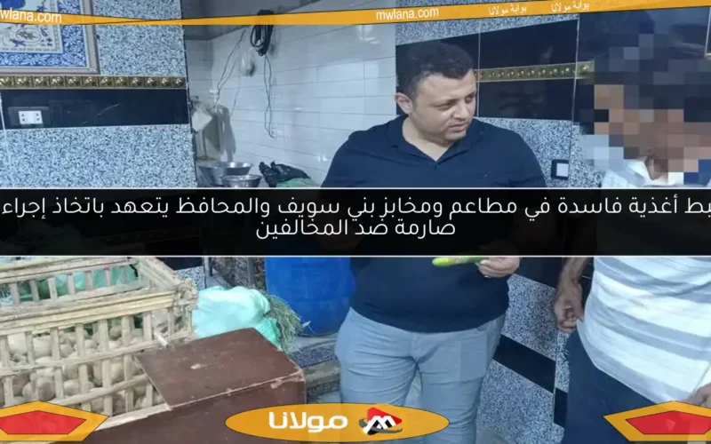 ضبط أغذية فاسدة في مطاعم ومخابز بني سويف والمحافظ يتعهد باتخاذ إجراءات صارمة ضد المخالفين