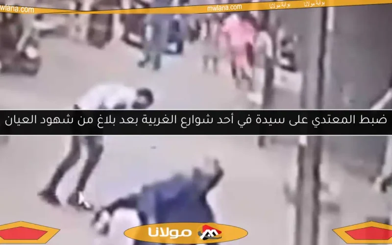 ضبط المعتدي على سيدة في أحد شوارع الغربية بعد بلاغ من شهود العيان