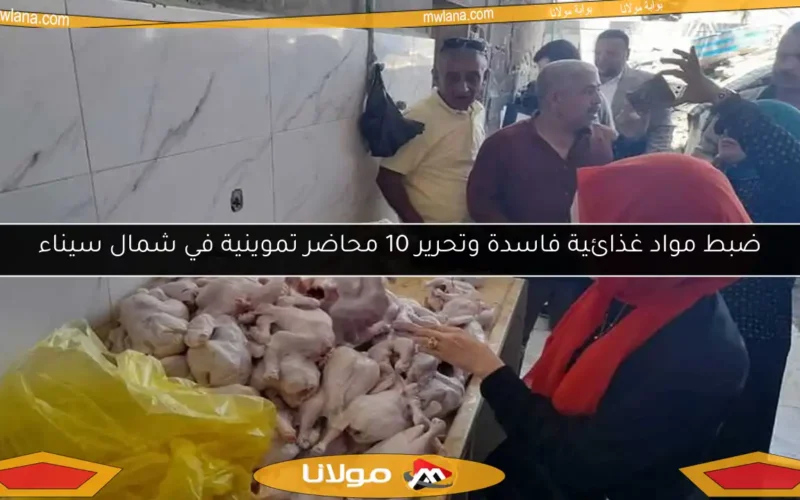 ضبط مواد غذائية فاسدة وتحرير 10 محاضر تموينية في شمال سيناء