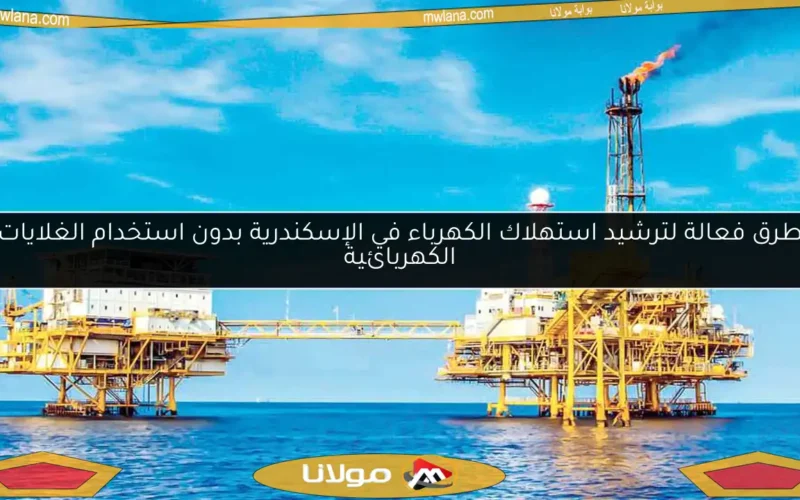 طرق فعالة لترشيد استهلاك الكهرباء في الإسكندرية بدون استخدام الغلايات الكهربائية