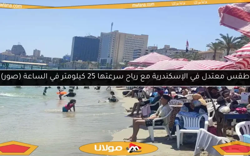 طقس معتدل في الإسكندرية مع رياح سرعتها 25 كيلومتر في الساعة (صور)