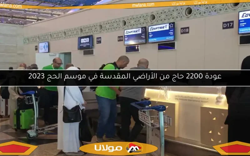عودة 2200 حاج من الأراضي المقدسة في موسم الحج 2023