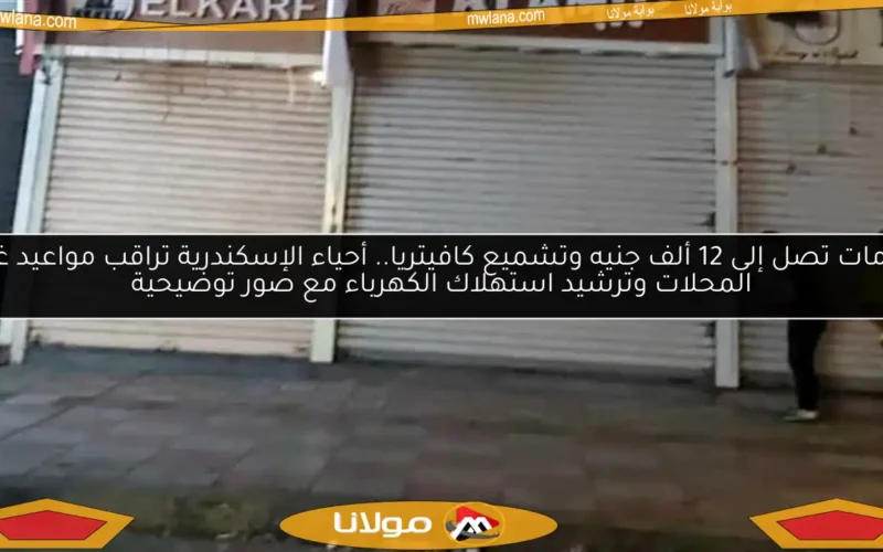 غرامات تصل إلى 12 ألف جنيه وتشميع كافيتريا.. أحياء الإسكندرية تراقب مواعيد غلق المحلات وترشيد استهلاك الكهرباء مع صور توضيحية