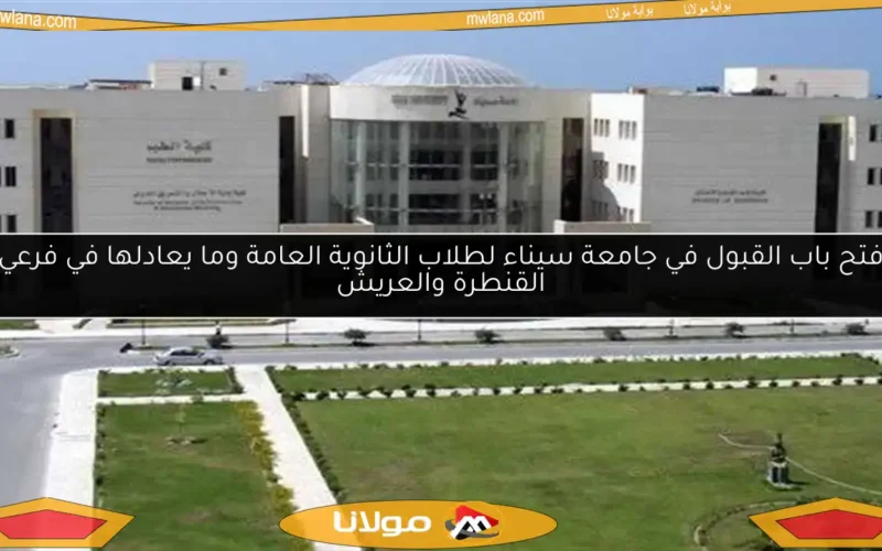فتح باب القبول في جامعة سيناء لطلاب الثانوية العامة وما يعادلها في فرعي القنطرة والعريش