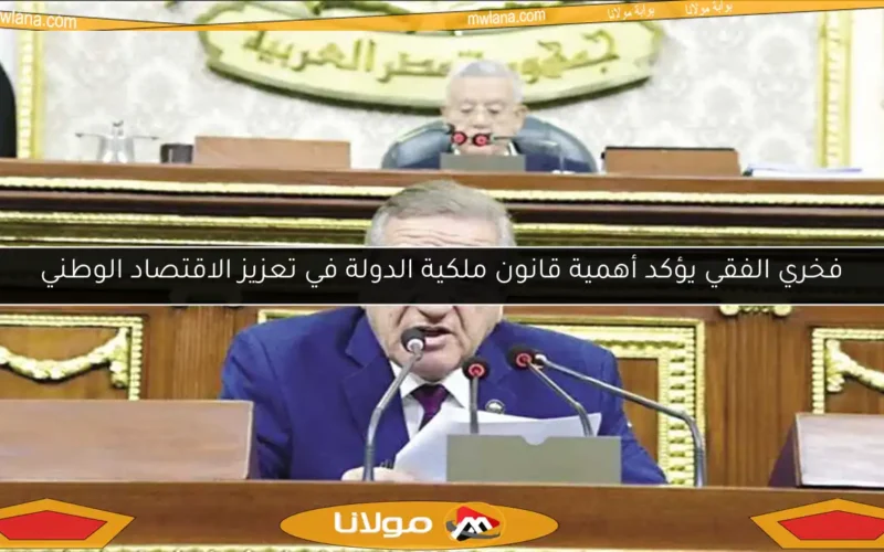 فخري الفقي يؤكد أهمية قانون ملكية الدولة في تعزيز الاقتصاد الوطني