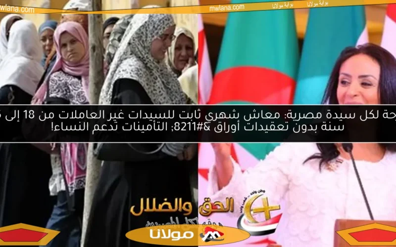 فرحة لكل سيدة مصرية: معاش شهري ثابت للسيدات غير العاملات من 18 إلى 45 سنة بدون تعقيدات أوراق – التأمينات تدعم النساء!