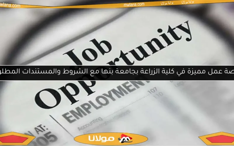 فرصة عمل مميزة في كلية الزراعة بجامعة بنها مع الشروط والمستندات المطلوبة
