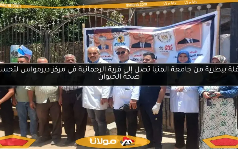 قافلة بيطرية من جامعة المنيا تصل إلى قرية الرحمانية في مركز ديرمواس لتحسين صحة الحيوان