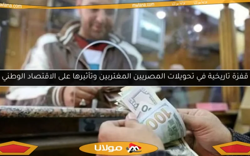 قفزة تاريخية في تحويلات المصريين المغتربين وتأثيرها على الاقتصاد الوطني