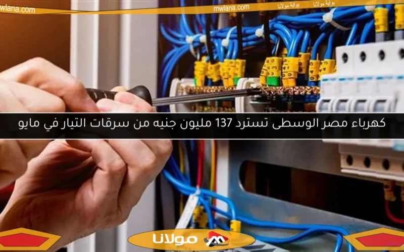 كهرباء مصر الوسطى تسترد 137 مليون جنيه من سرقات التيار في مايو