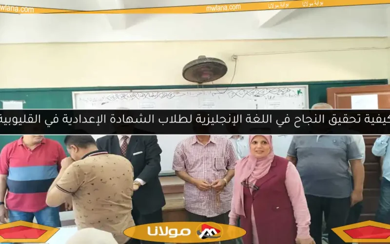 كيفية تحقيق النجاح في اللغة الإنجليزية لطلاب الشهادة الإعدادية في القليوبية