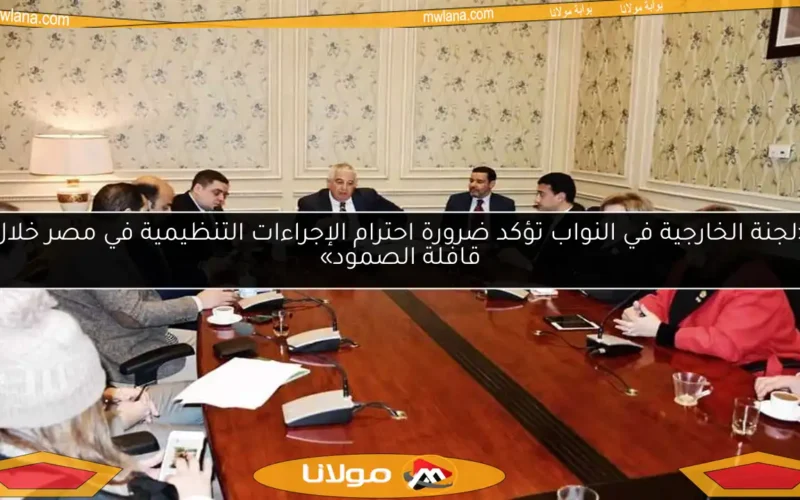 «لجنة الخارجية في النواب تؤكد ضرورة احترام الإجراءات التنظيمية في مصر خلال قافلة الصمود»