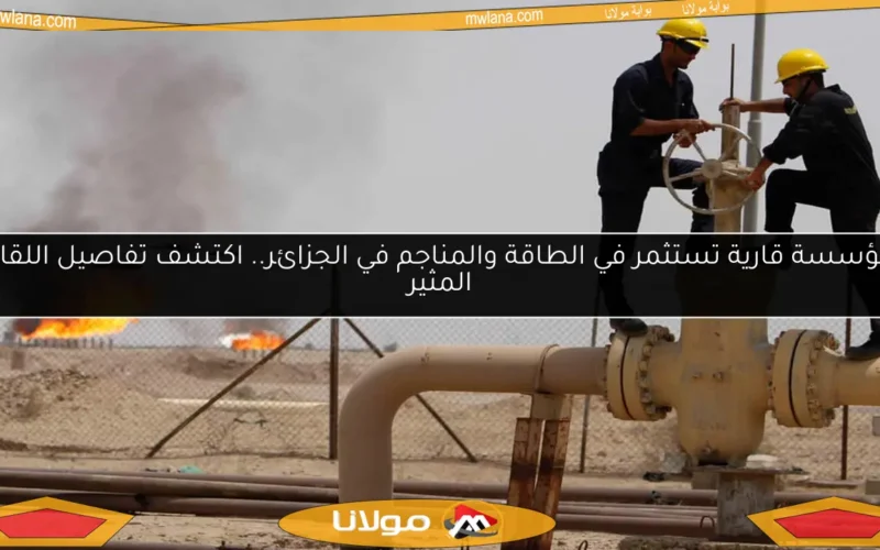 مؤسسة قارية تستثمر في الطاقة والمناجم في الجزائر.. اكتشف تفاصيل اللقاء المثير