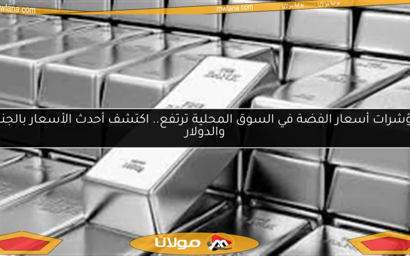 مؤشرات أسعار الفضة في السوق المحلية ترتفع.. اكتشف أحدث الأسعار بالجنيه والدولار