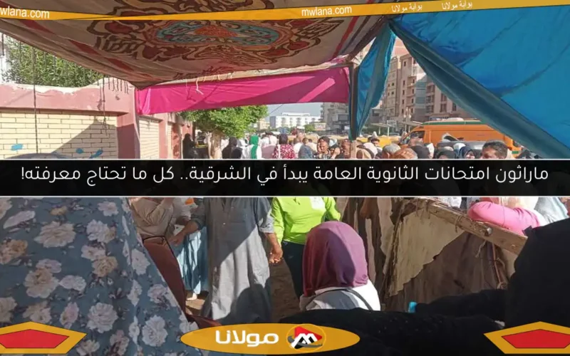 ماراثون امتحانات الثانوية العامة يبدأ في الشرقية.. كل ما تحتاج معرفته!