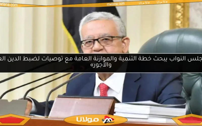 «مجلس النواب يبحث خطة التنمية والموازنة العامة مع توصيات لضبط الدين العام والأجور»