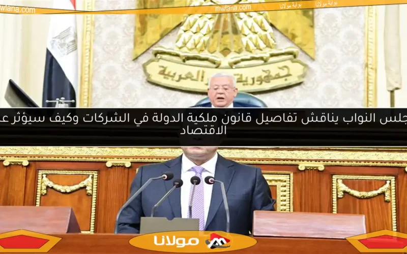 مجلس النواب يناقش تفاصيل قانون ملكية الدولة في الشركات وكيف سيؤثر على الاقتصاد