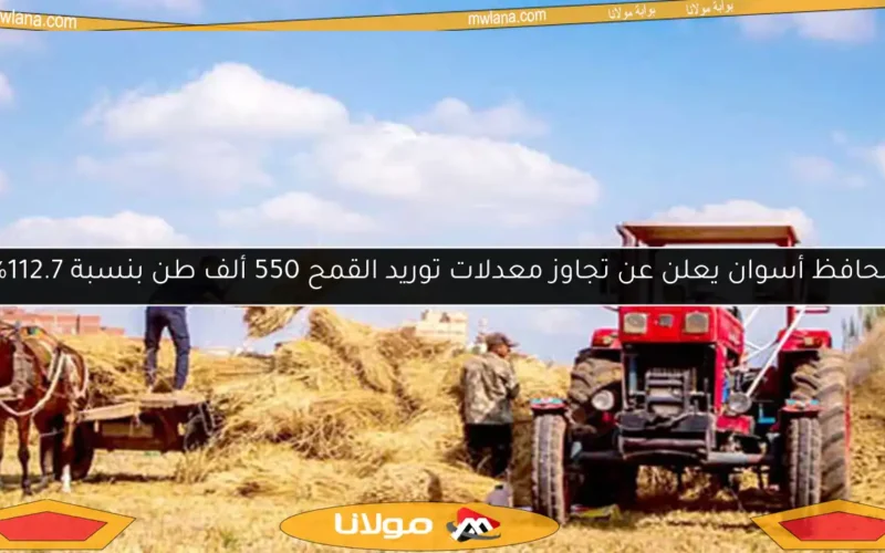 محافظ أسوان يعلن عن تجاوز معدلات توريد القمح 550 ألف طن بنسبة 112.7%