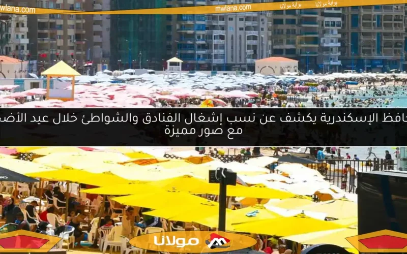 محافظ الإسكندرية يكشف عن نسب إشغال الفنادق والشواطئ خلال عيد الأضحى مع صور مميزة