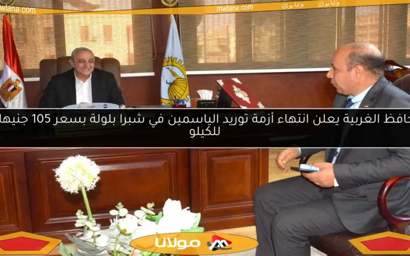 محافظ الغربية يعلن انتهاء أزمة توريد الياسمين في شبرا بلولة بسعر 105 جنيهات للكيلو