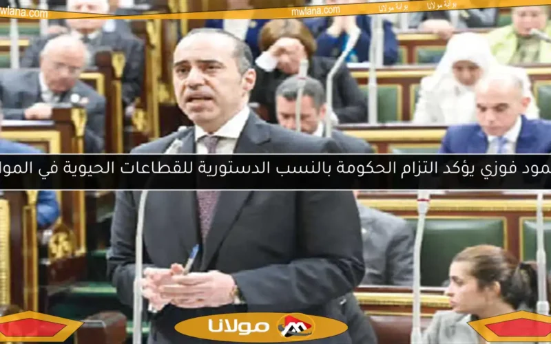 محمود فوزي يؤكد التزام الحكومة بالنسب الدستورية للقطاعات الحيوية في الموازنة